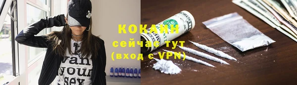 спиды Мегион
