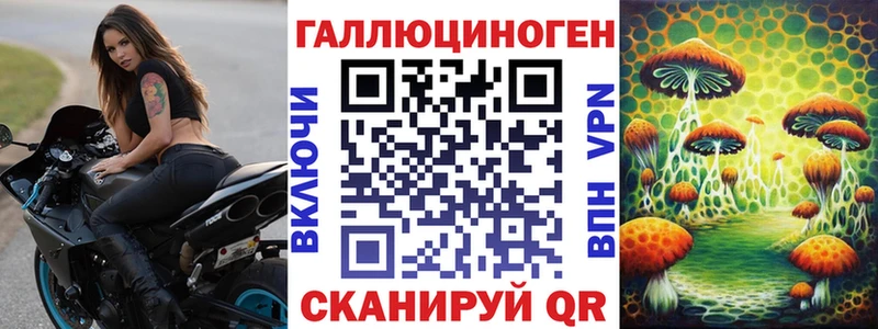 наркота  Сосенский  Галлюциногенные грибы MAGIC MUSHROOMS 